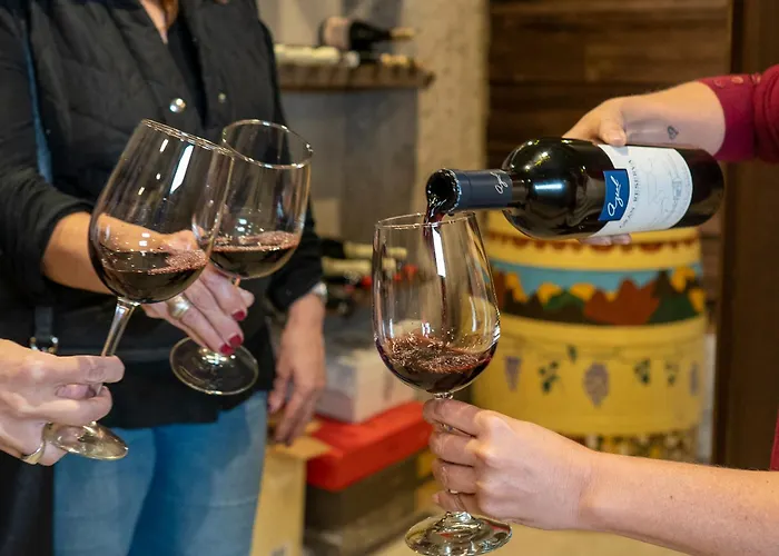 Ayres De Uco Lodge & Wine Lovers
