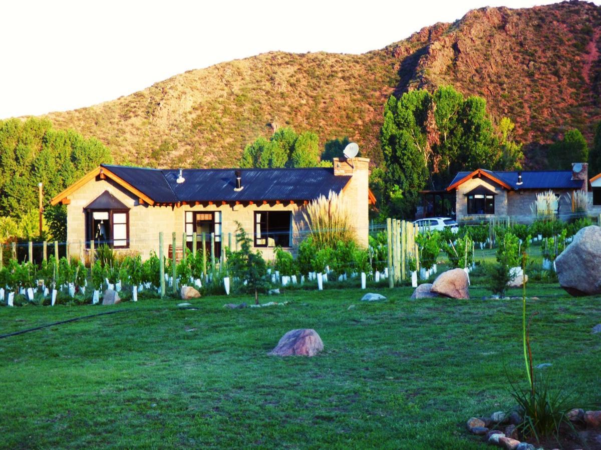 Ayres De Uco & Wine Lovers Lodge Los Arboles