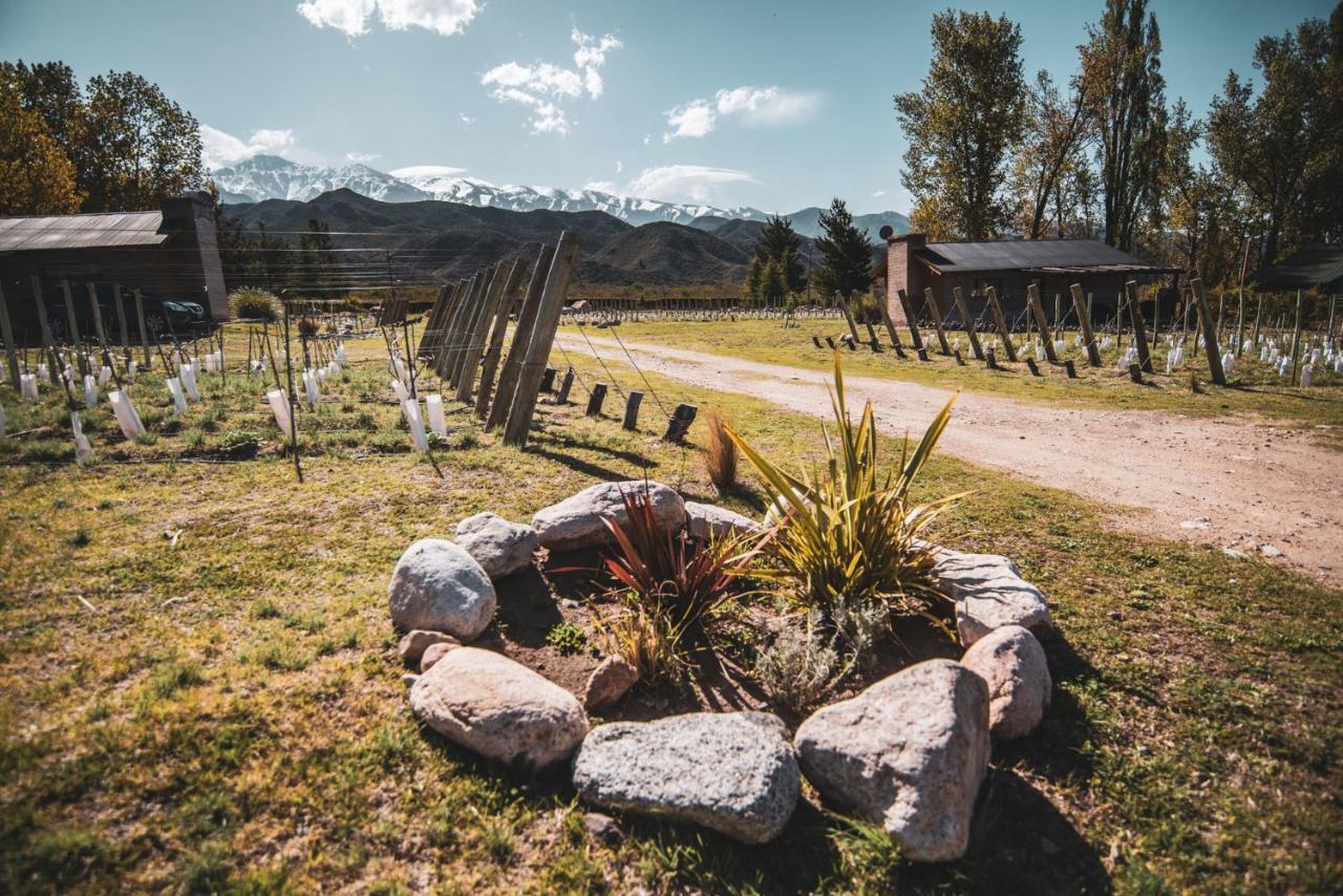 Lodge Ayres De Uco & Wine Lovers *