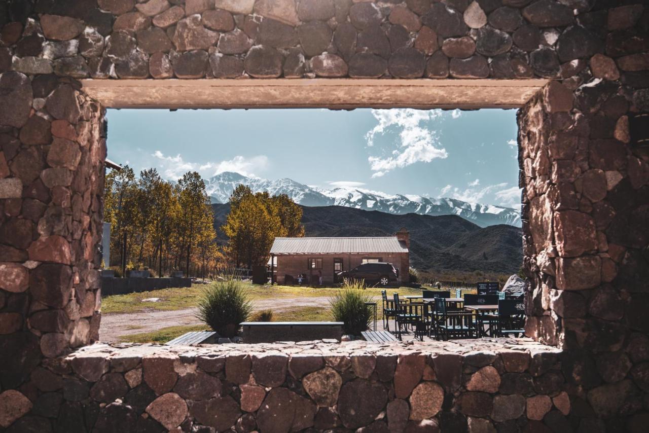Ayres De Uco & Wine Lovers * Los Arboles