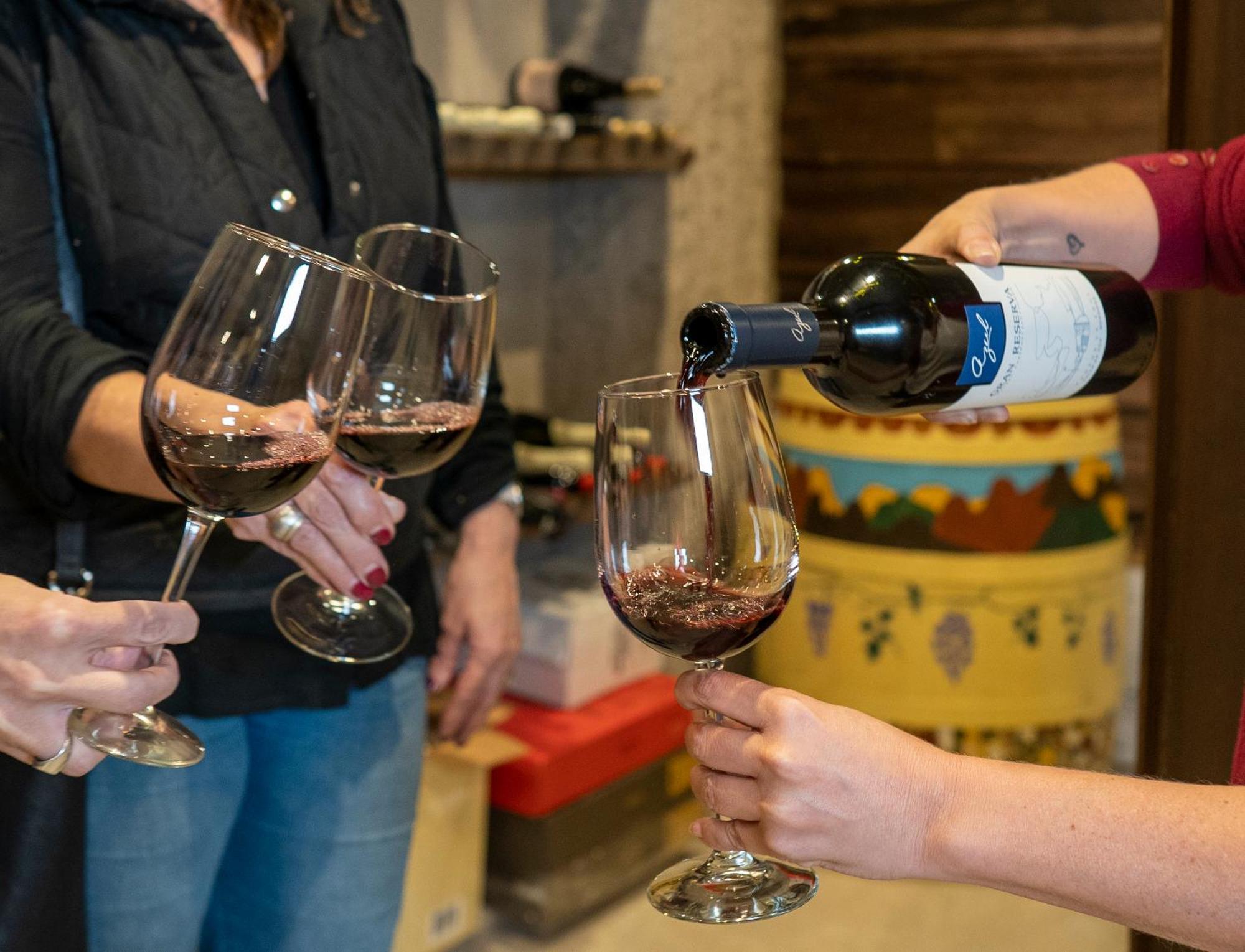 Lodge Ayres De Uco & Wine Lovers *